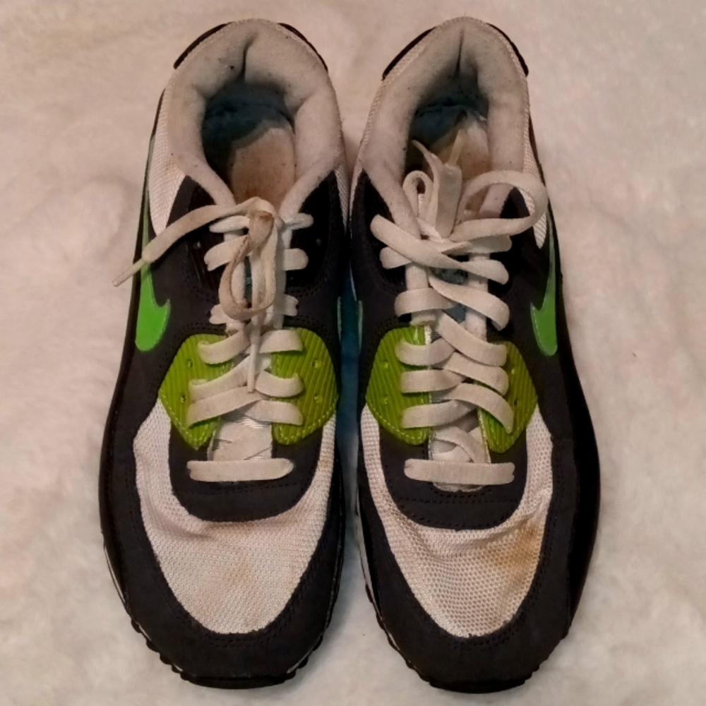 Nike Air Max Sneakers
